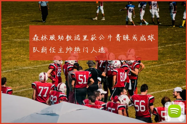 森林狼助教诺里获公牛青睐或成球队新任主帅热门人选
