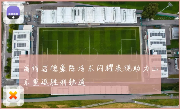 高诗岩德豪陈培东闪耀表现助力山东重返胜利轨道