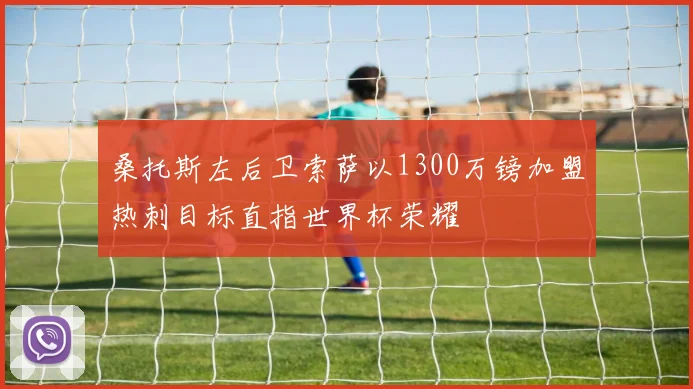 桑托斯左后卫索萨以1300万镑加盟热刺目标直指世界杯荣耀